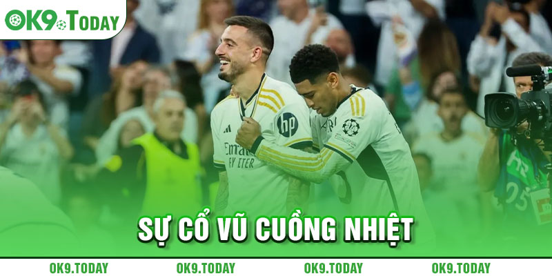 Joselu: Cầu thủ chuyên xin link xem Real Madrid thi đấu 3 Sự cổ vũ cuồng nhiệt